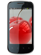 Best available price of Celkon A19 in Al