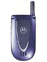 Best available price of Motorola V66i in Al